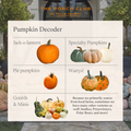 A La Carte Pumpkins