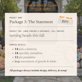 Package 3: The Statement